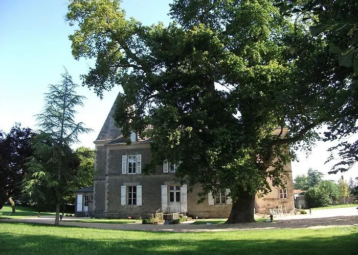 Chateau De Bellevue -